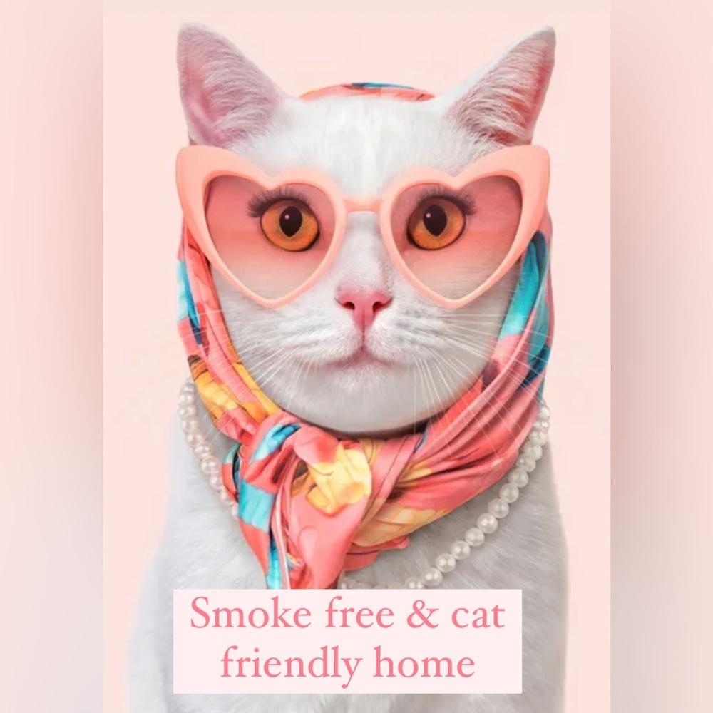 Meowvalous!